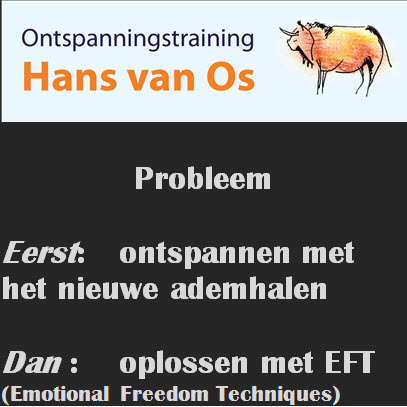 Ontspanningstraining Hans van Os  probleem oplossen 2